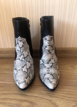 Осінні чоботи козаки з принтом пітон