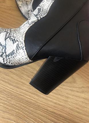 Осінні чоботи козаки з принтом пітон