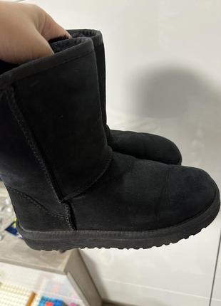 Жіночі уги зимові ugg зимові чоботи ugg замшеві уги на зиму