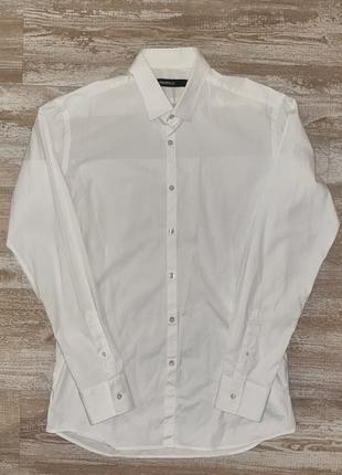 Мужская рубашка karl lagerfield