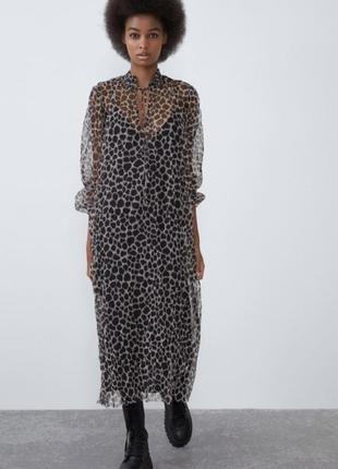 Платье сеточка принт zara