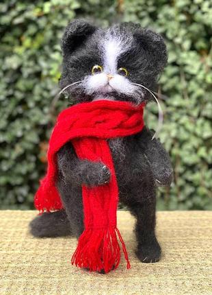 Большой пушистый черный кот в красном вязанном шарфе