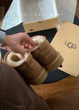 Ugg угги3 фото