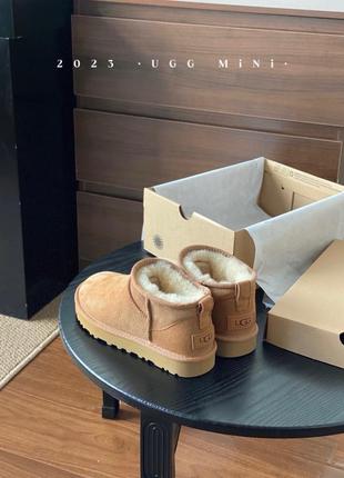 Ugg угги5 фото