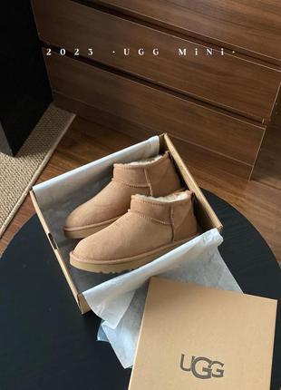 Ugg угги9 фото