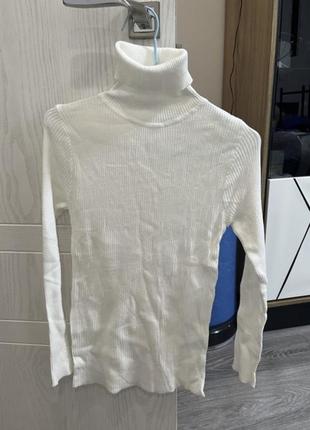 Гольф водолазка