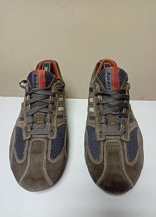 Geox sport trainers new arrivals
