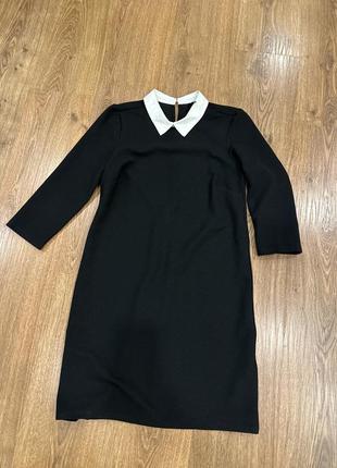 Сукня з воротом