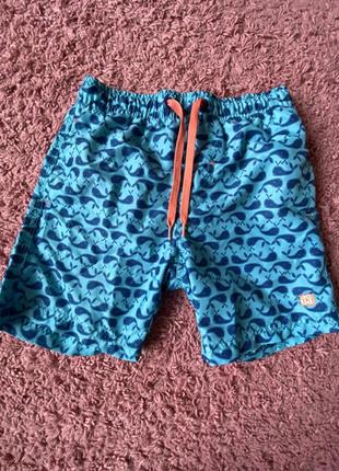 Шорти