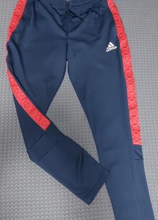 Штани спортивні adidas