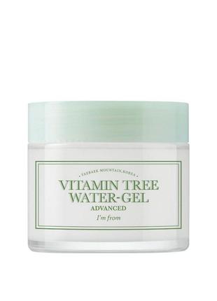 Зволожуючий крем-гель для обличчя i'm from vitamin tree water gel advanced, 75 мл