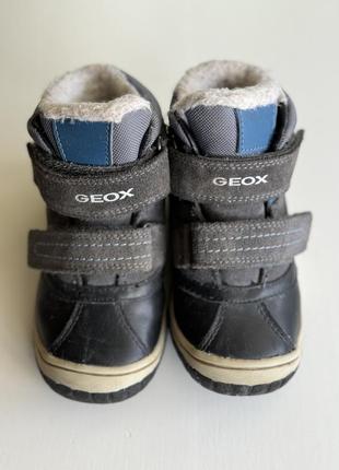 Зимові черевики geox