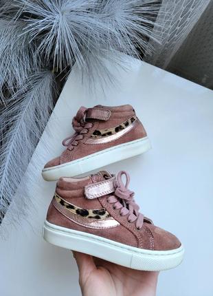 Хайтопы