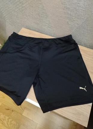 Оригінальні спортивні шорти puma