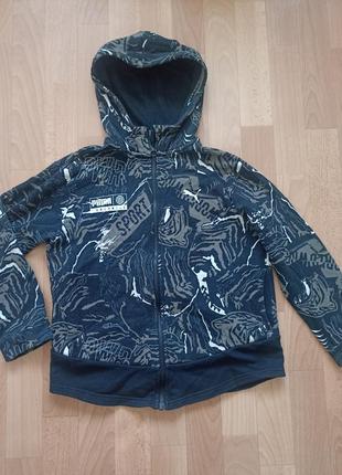 Пайта puma на хлопця