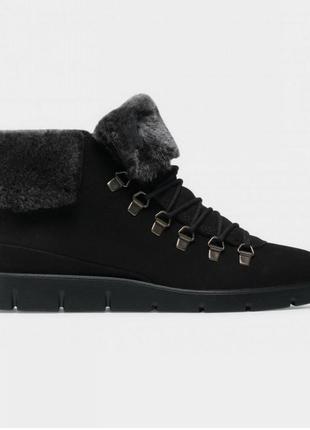 ecco modtray w