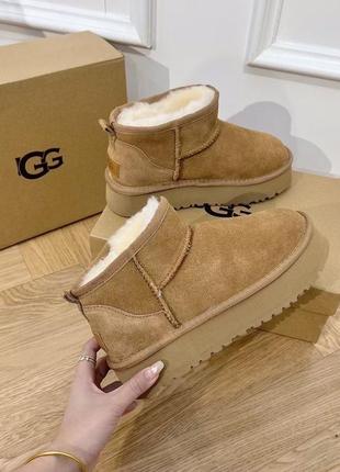 Взуття ugg