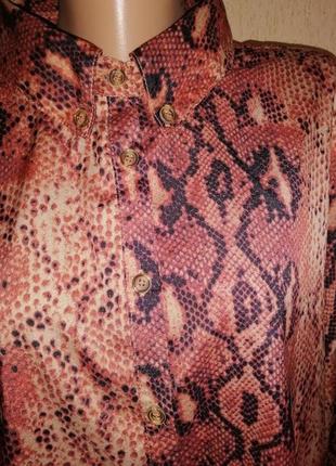 Гарна жіноча блузка, сорочка в зміїний принт 14 р. in the style4 фото