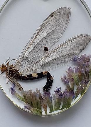 Кулон комаха в смолі, кулон зі справжньою комахою мурашиний лев