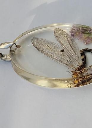 Кулон комаха в смолі, кулон зі справжньою комахою мурашиний лев