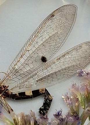 Кулон комаха в смолі, кулон зі справжньою комахою мурашиний лев