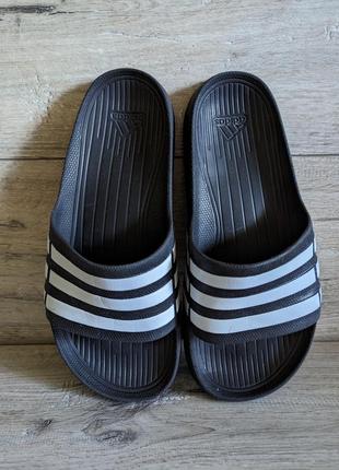 Шлепанцы сланцы адидас adidas k6 39 25.5 см3 фото