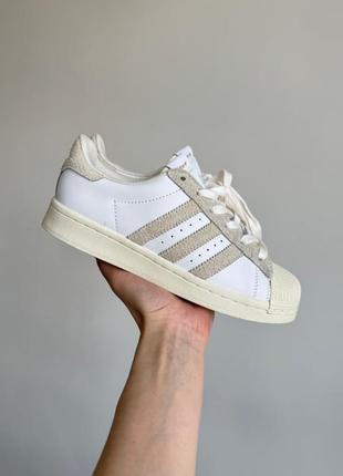 Женские кроссовки adidas superstar white/beige