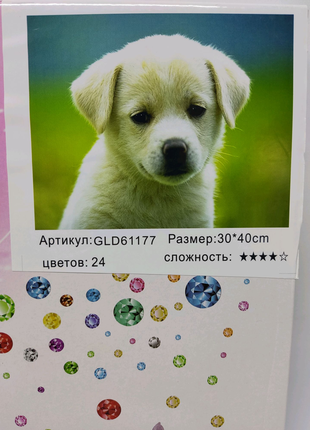 Алмазна мозаїка.