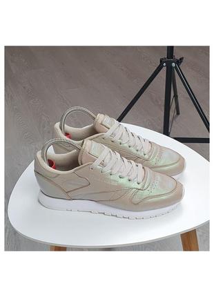 Шкіряні кросівки reebok