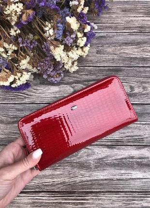 Жіночий гаманець шкіряний sergio torrett