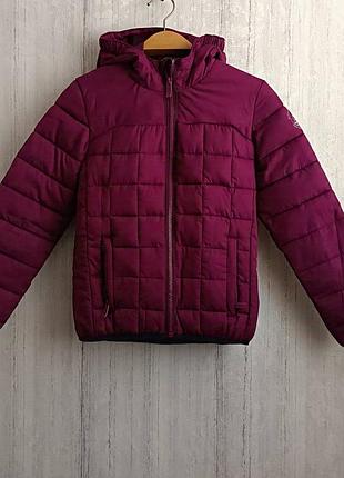 Зимова куртка, горно- лижня куртка surfanik