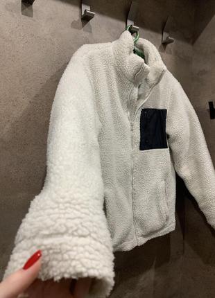 Куртка тедді