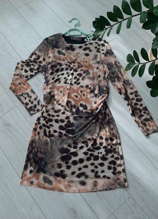 Нова жіноча сукня міді / плаття в модний леопардовий принт