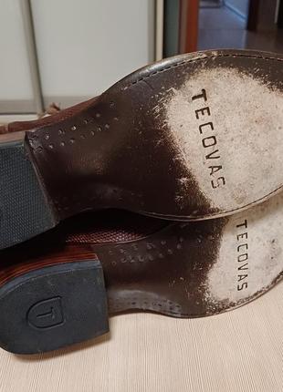 Сапоги ковбойские ящерица tecovas