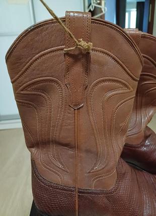 Сапоги ковбойские ящерица tecovas