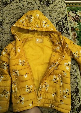 Куртка деми