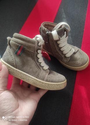 Хайтопы детские, коллаборации vero cuoio и gucci