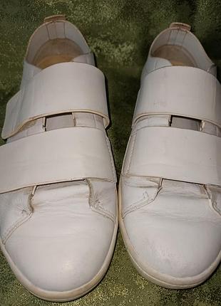 Снікерси lacoste 37 розм