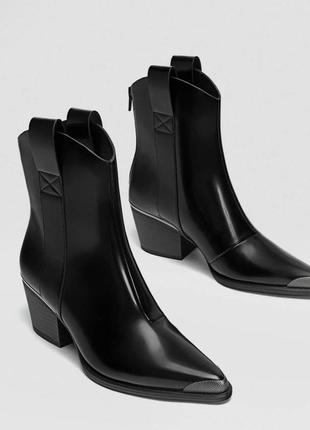 Козаки stradivarius