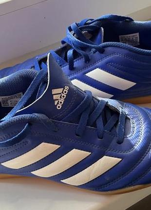 Футзалки adidas copa