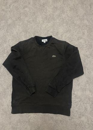 Кофта lacoste