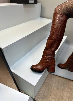 Чоботи жіночі