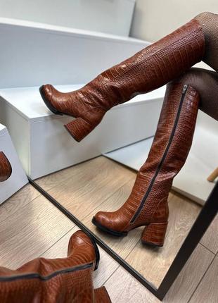 Чоботи жіночі