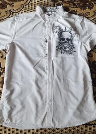 Рубашка с принтом черепа much more