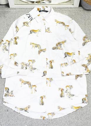 Нова сорочка оверсайз з тиграми zara