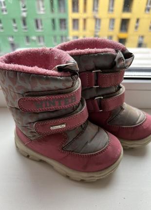Зимние сапожки chicco tex для девочки