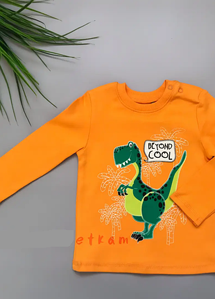 Футболка детская с длинным рукавом для мальчика тм бемби фб521