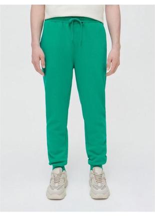Спортивні штани чоловічі джогери треніки утеплені на флісі нові базові