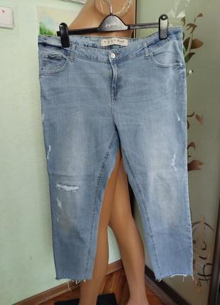 Джинси жіночі denim co