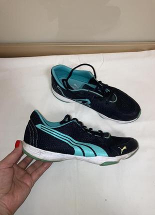 Кросівки puma